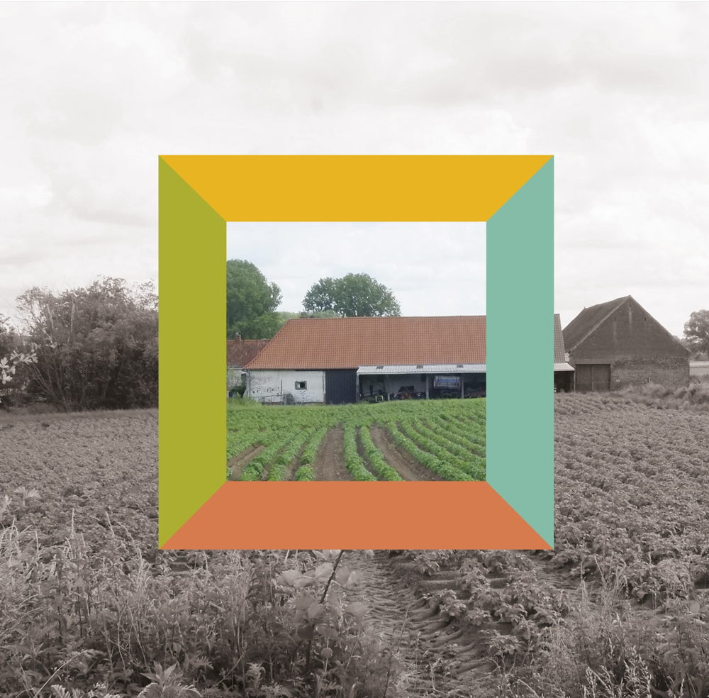 campagnebeeld Hoeve met perspectief