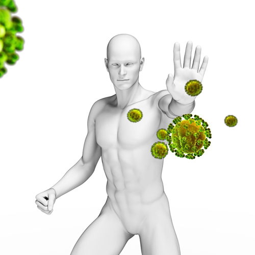 11797631_Human_immune_system_artwork