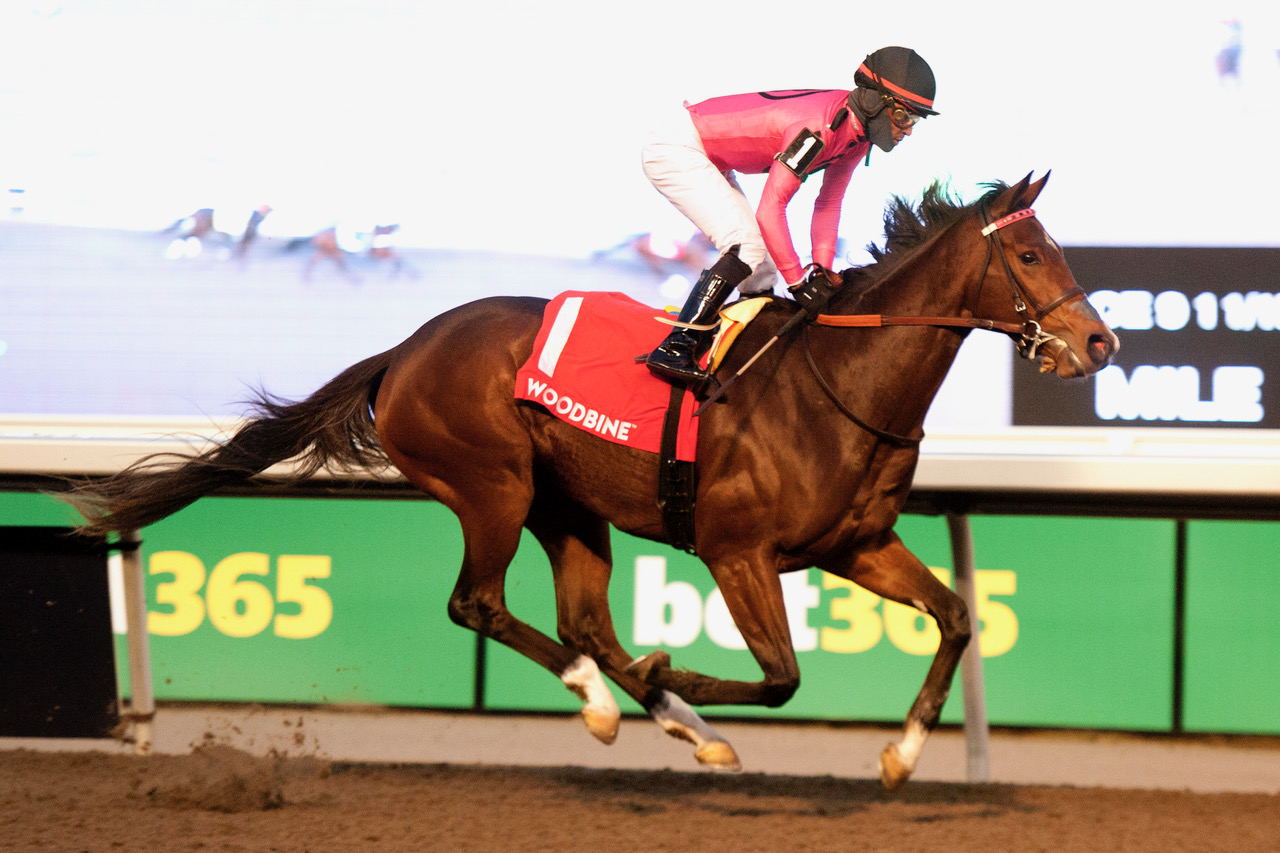 Witwatersrand and jockey Patrick Husbands winning the Mazarine Stakes on November 4, 2023 at Woodbine (Michael Burns Photo)