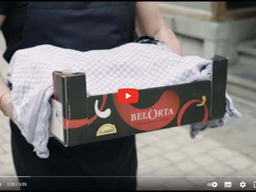 BelOrta lance une campagne pour contrer la tendance à la baisse de la consommation de chicons