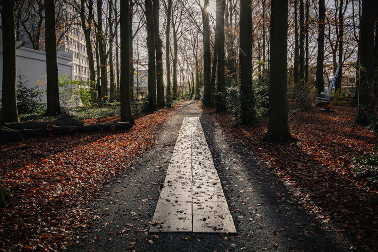 Carl André, 74 WEATHERING WAY, 2001 © SABAM Belgium 2025 - Photo: Tom Cornille Carl André, 74 WEATHERING WAY, 2001 © SABAM Belgium 2025 - Photo: Tom Cornille