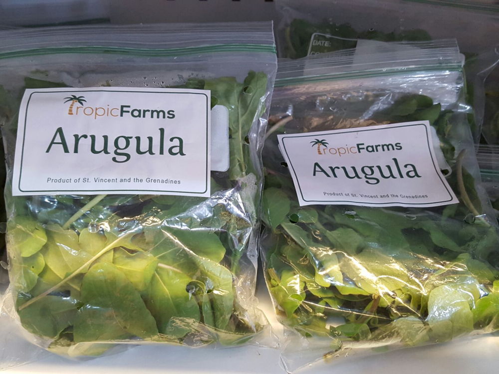 Arugula leaves from St. Vincent and the Grenadines