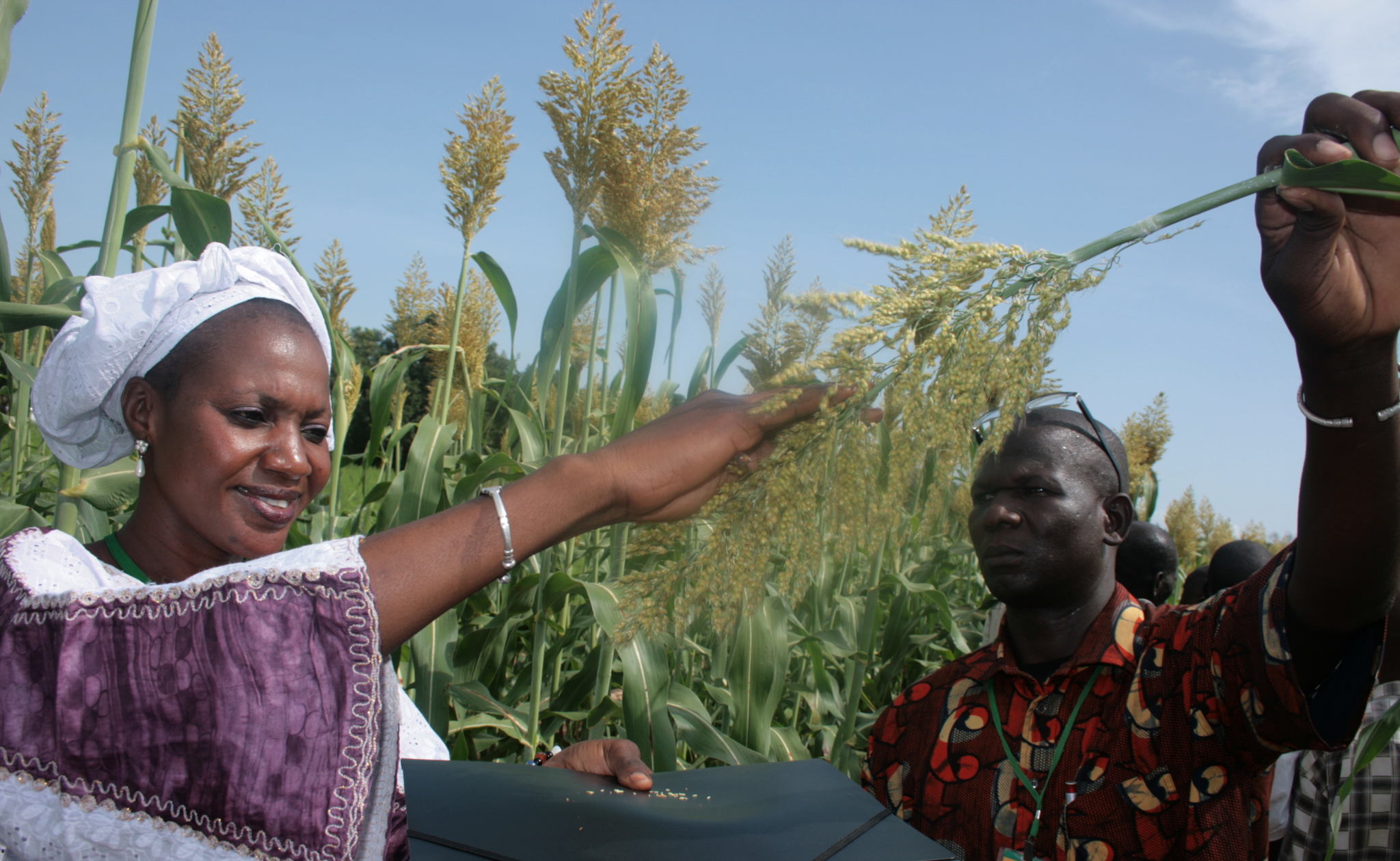StratAdapt: Advancing Climate-Resilient Agriculture in Mali