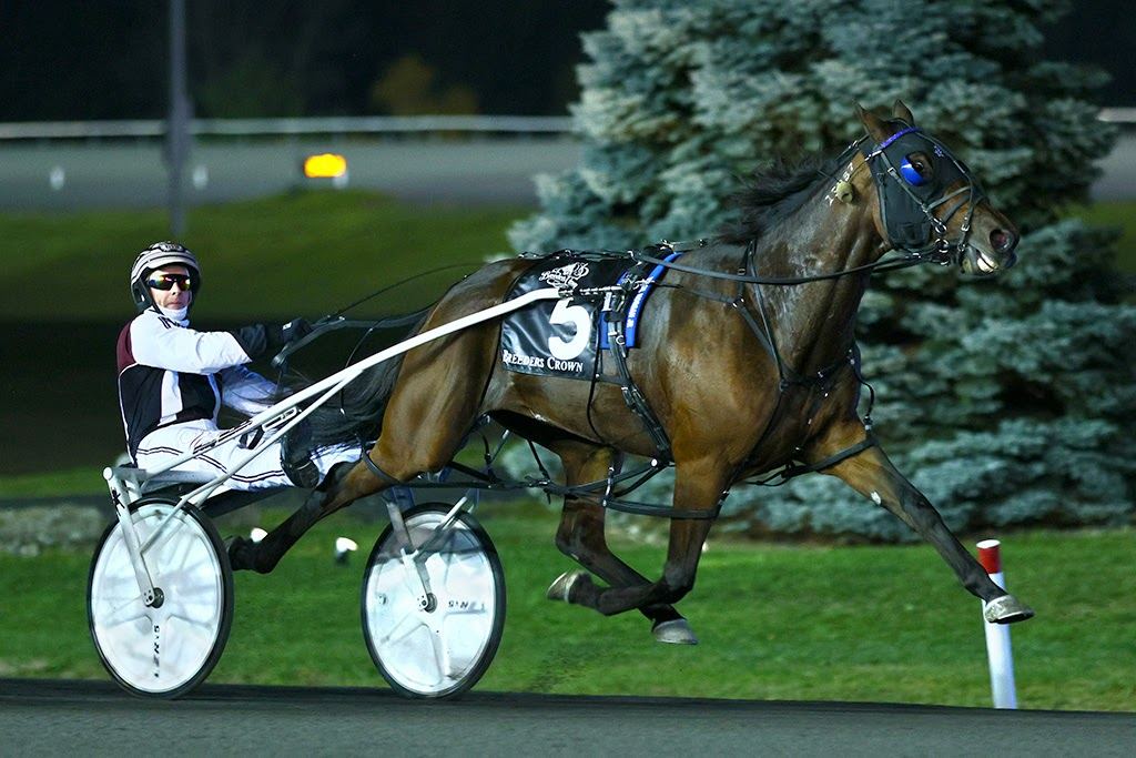 Grace Hill and driver Doug McNair winning the Open Mare Pace Breeders Crown Final (New Image Media)