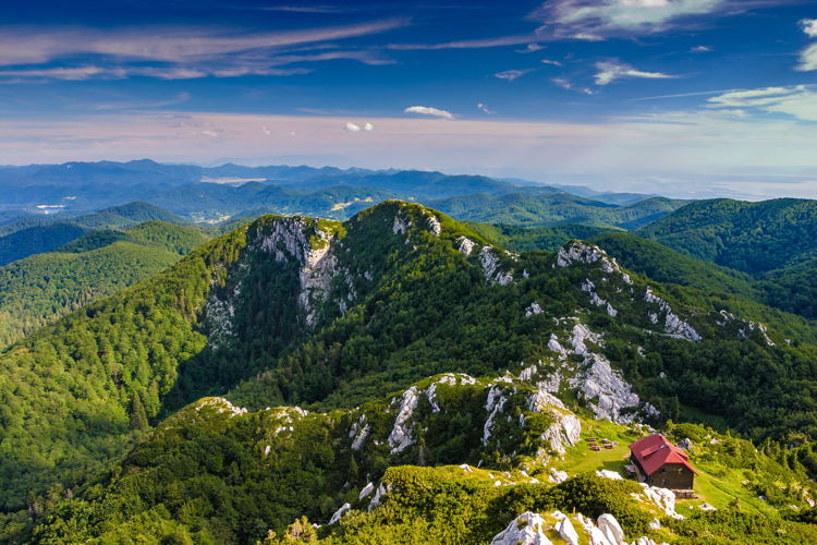 ©Zoran Jelaca