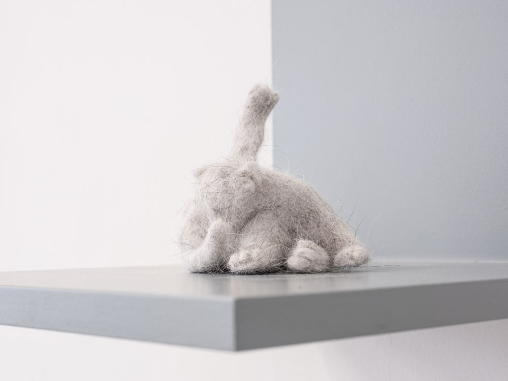 Image of the exhibition ‘The Lives of Animals’ at M HKA, Antwerp (Belgium), 2024 © M HKA Museum of Contemporary Art Antwerpen (photo: Christine Clinckx)