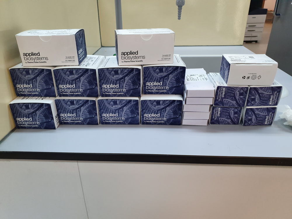 PCR Test Kits 