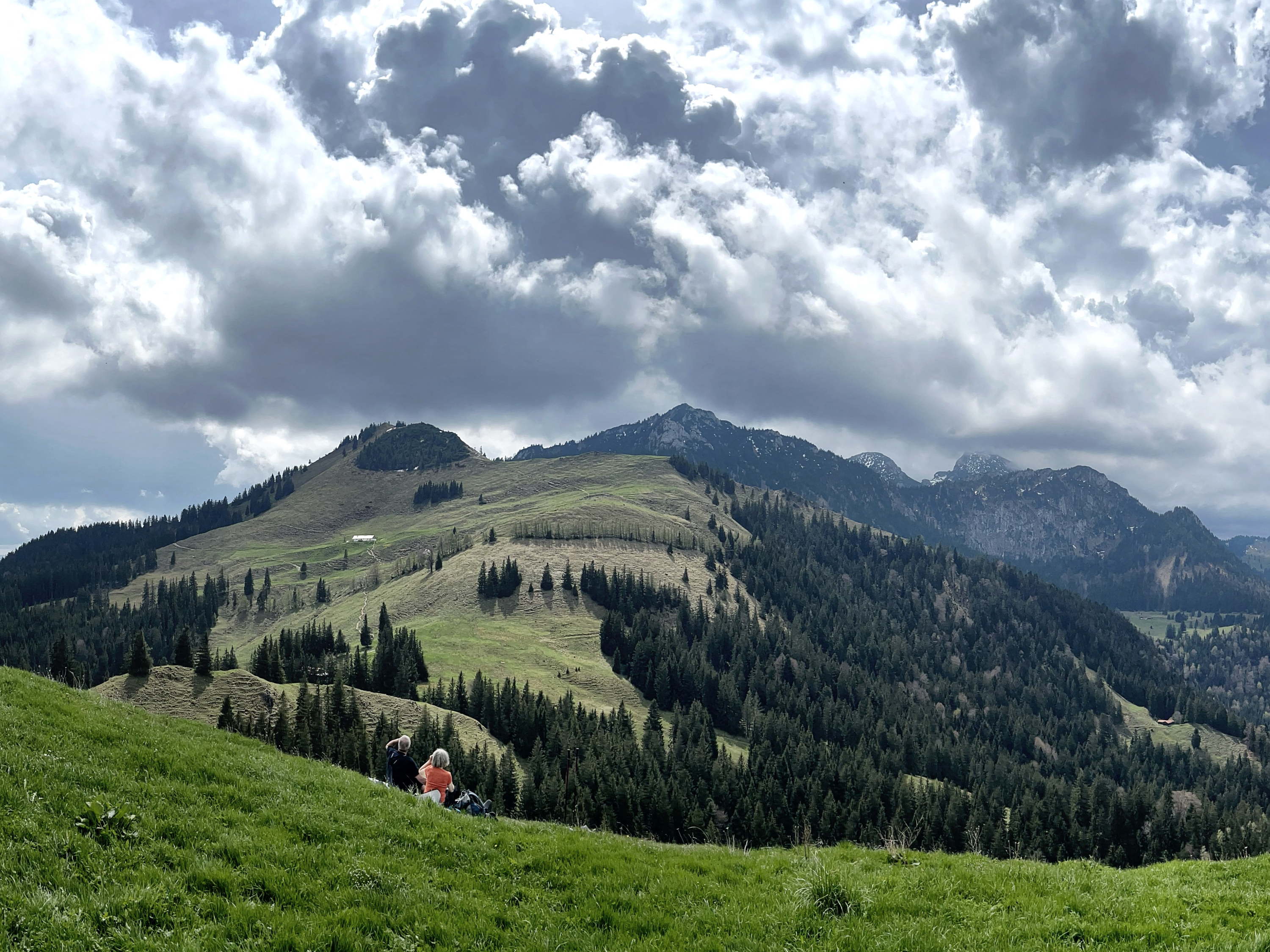 Belgian man dies after fall in Austrian alps