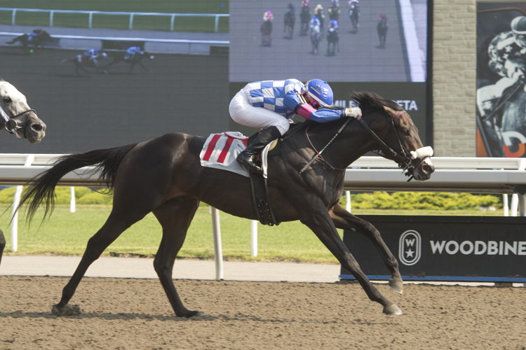 Stanley House and jockey Luis Contreras winning Race 7 at Woodbine on June 18, 2023 (Michael Burns Photo)