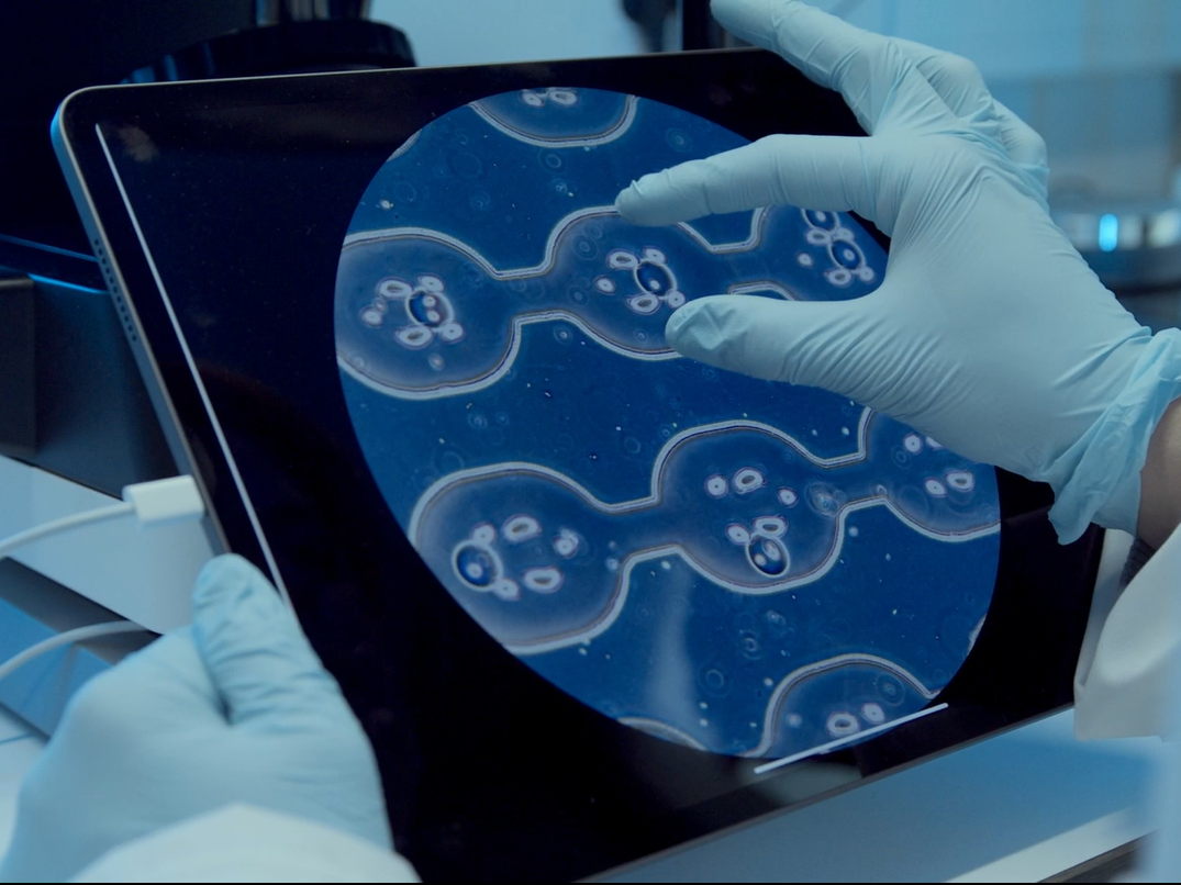 VIB Spatial Catalyst capitalizes on diverse omics talent to professionalize spatial technology activities