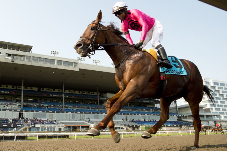Paramount Prince and jockey Patrick Husbands winning the Seagram Cup (G2) on July 27, 2024 at Woodbine (Michael Burns Photo)