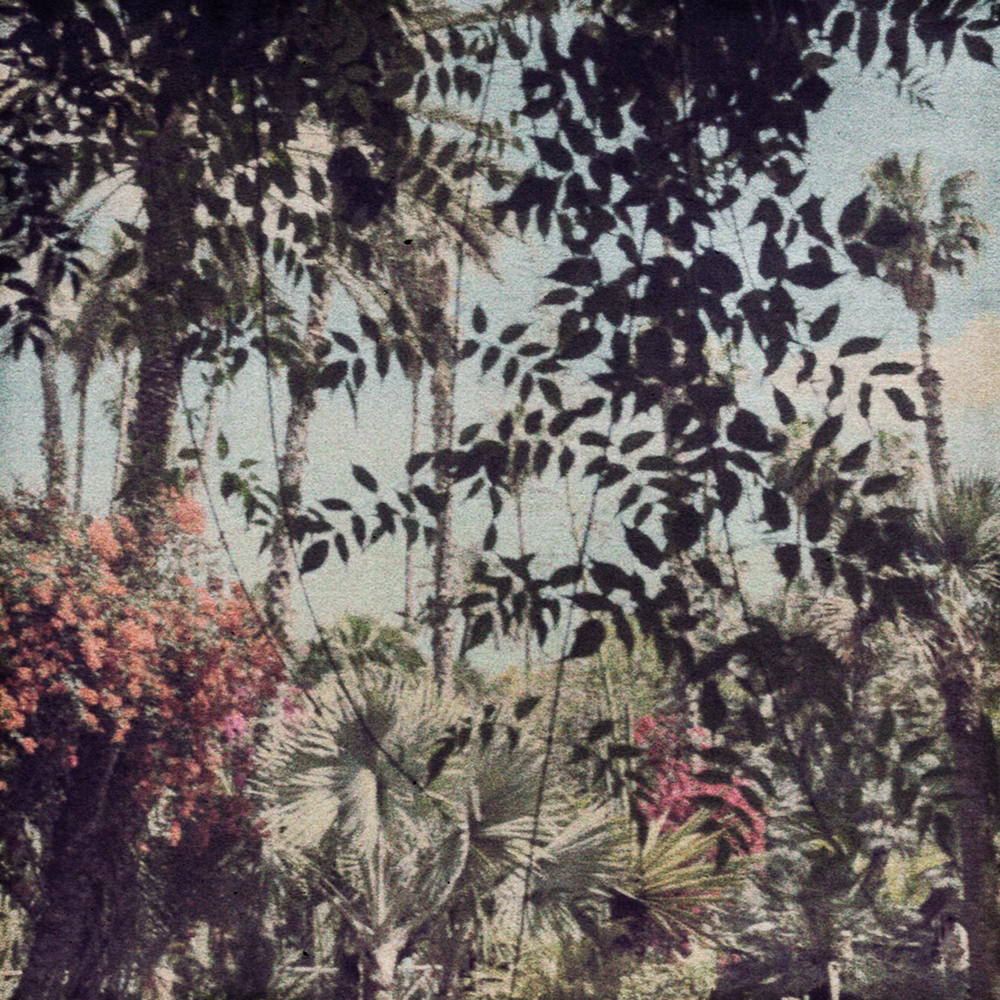 FLORE-MAROC