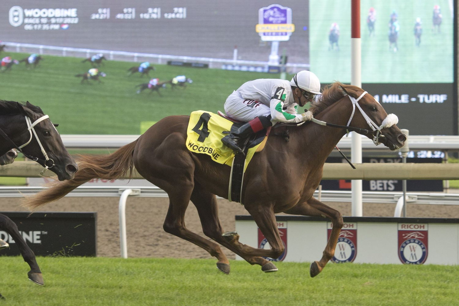 Last Call and jockey Rafael Hernandez winning the 2022 Johnnie Walker Natalma Stakes at Woodbine (Michael Burns Photo)