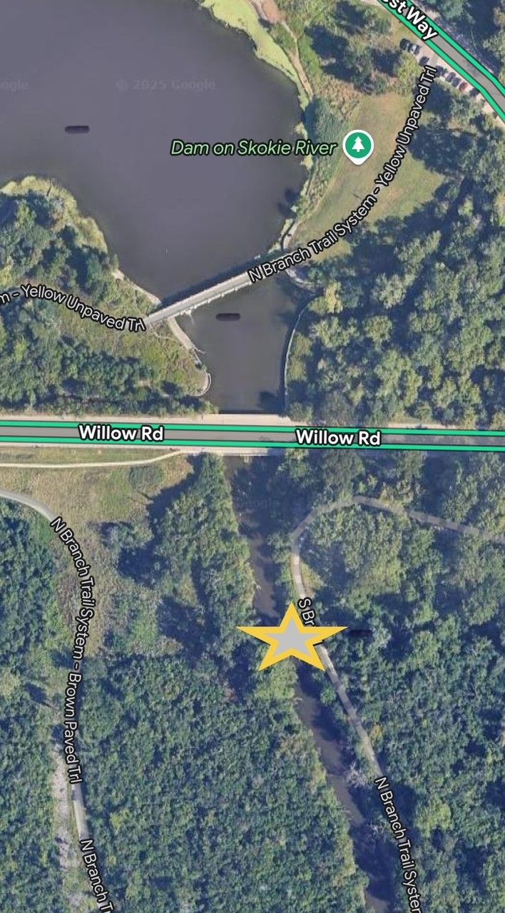 Photo of approximate location where the body was discovered floating in the Skokie River. Approximately ¼ mile south of Willow Road in the Northfield or Winnetka, Illinois area, south of Lagoon No. 1 and near the N. Branch Trail Systems, near Erickson Woods / Skokie Lagoons.