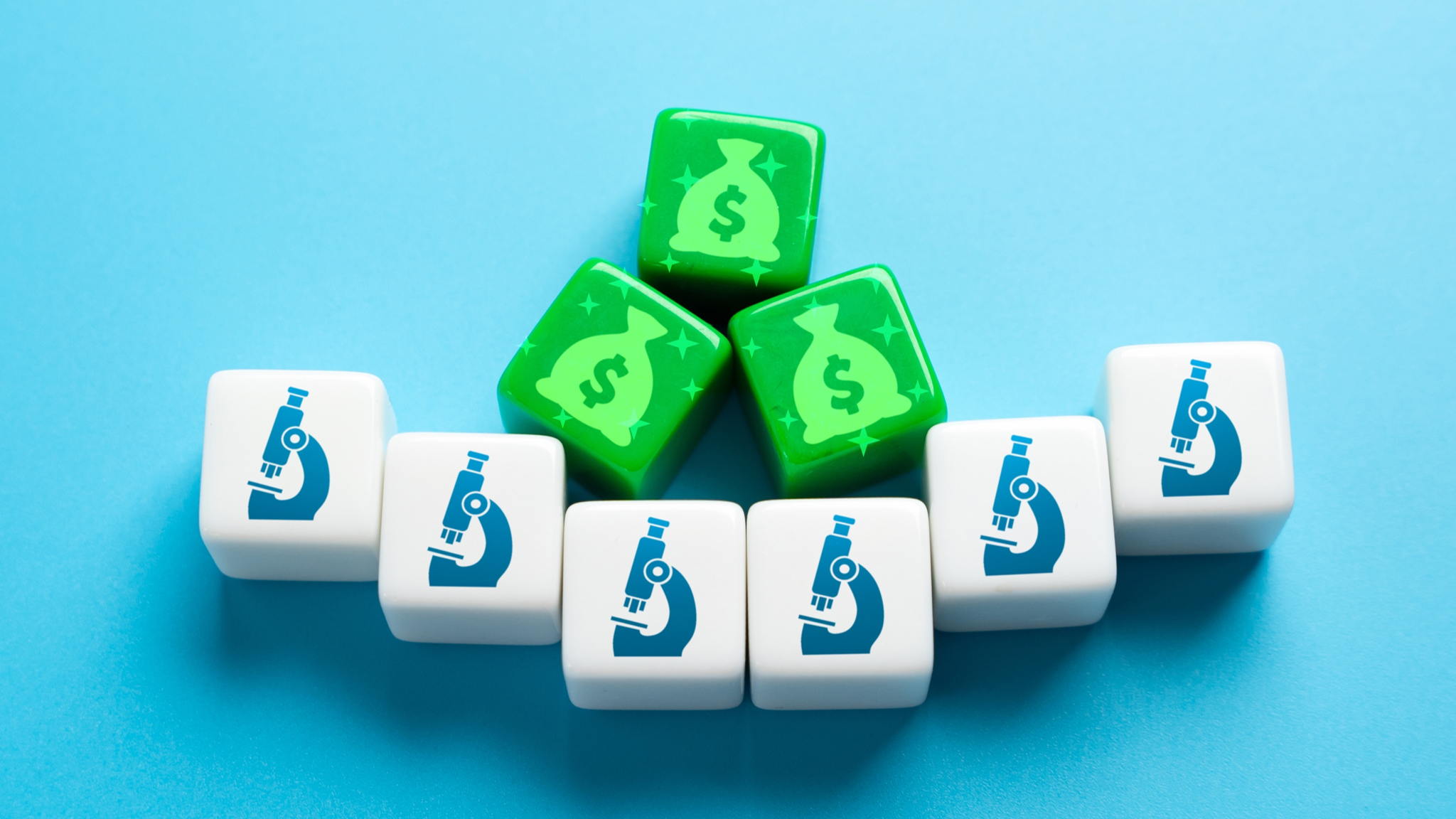 InterACT: Internationale postdoctorale fellowships bouwen bruggen tussen wetenschap en beleid