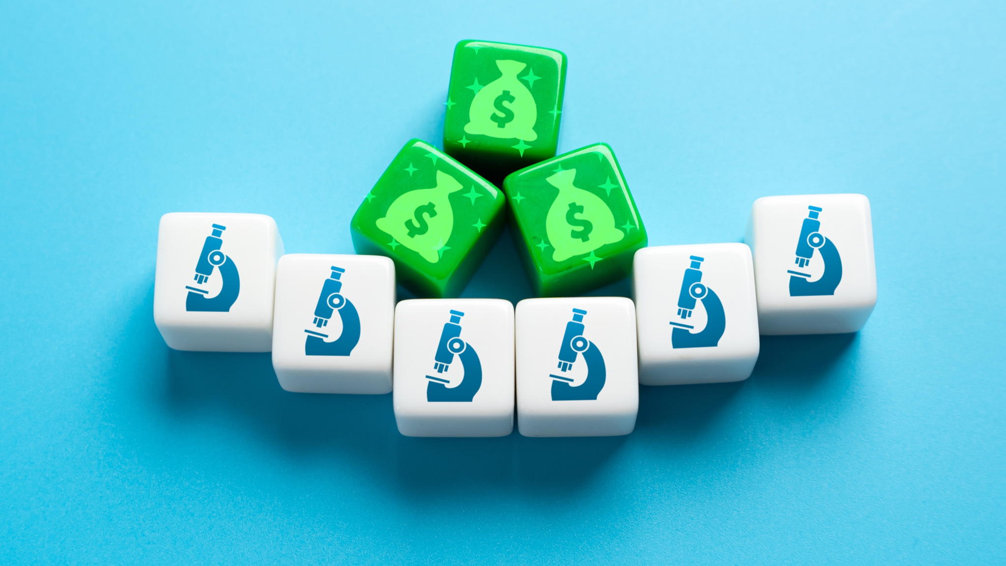 InterACT: International postdoctoral fellowships build bridges between science and policy