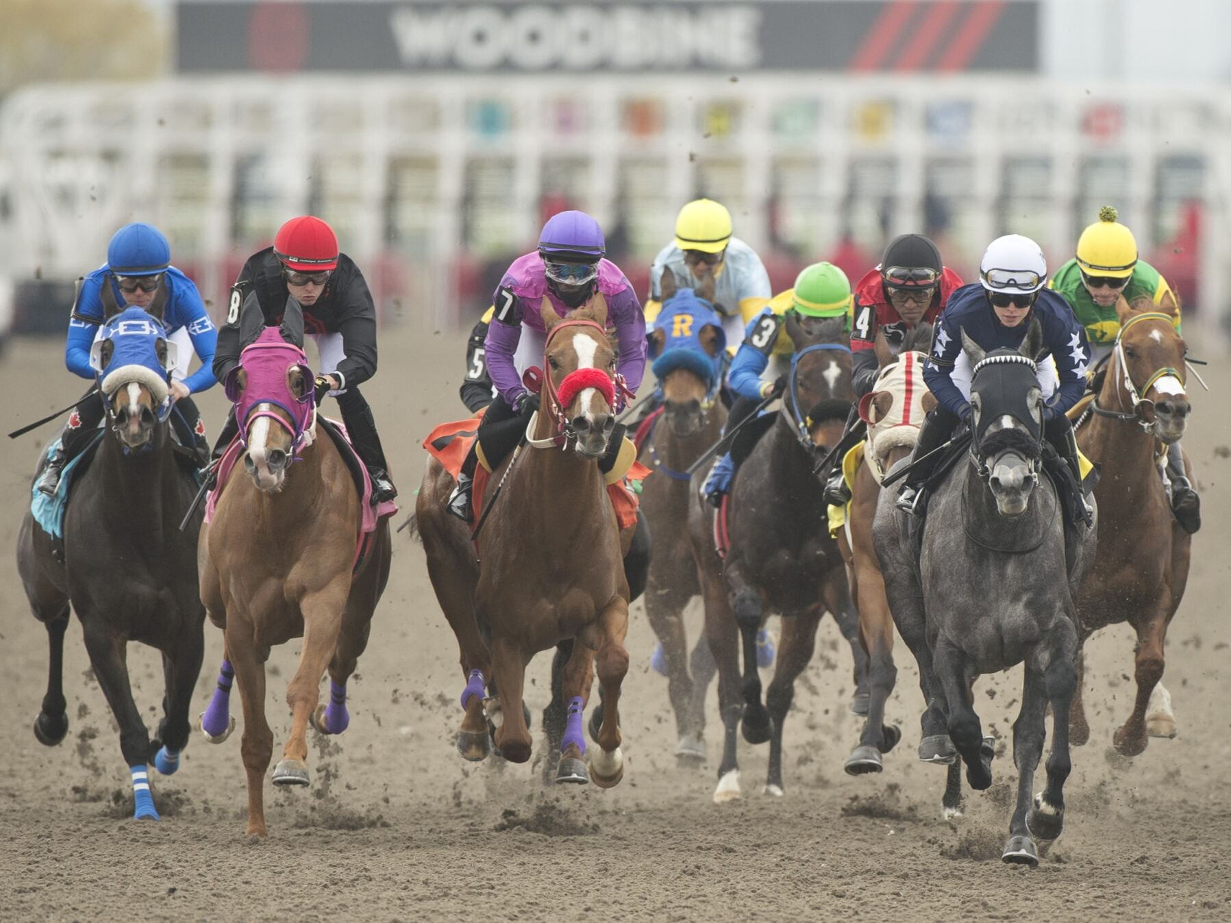 FRIDAY LIVE RACING CANCELLED AT WOODBINE DUE TO POOR AIR QUALITY