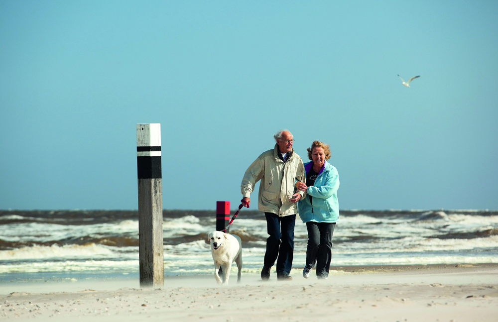 Senioren mit Hund am Strand