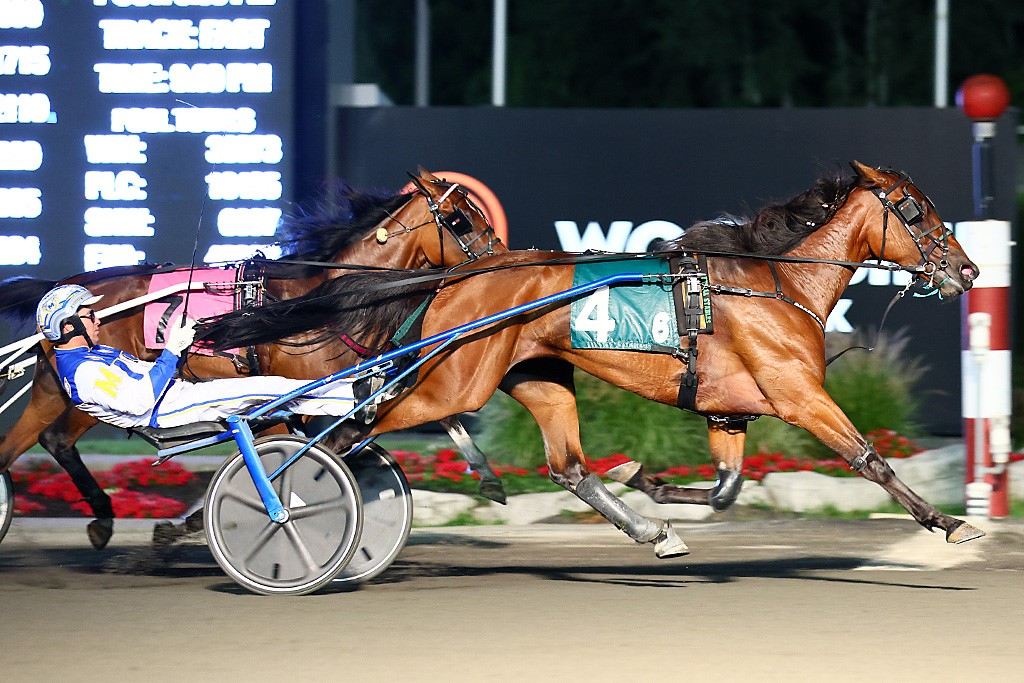 Adare Castle winning the Casual Breeze. (New Image Media)