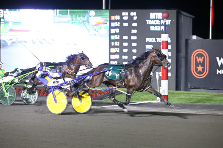 Nijinsky and driver Louis-Philippe Roy winning the 41st Pepsi North America Cup on June 15, 2024 at Woodbine Mohawk Park (New Image Media)