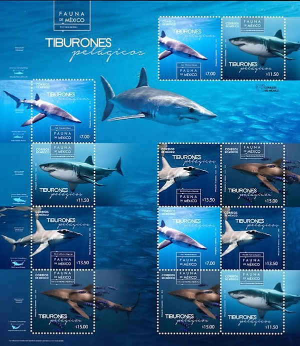 Invite: Presentación de los timbres postales "Tiburones Pelágicos"