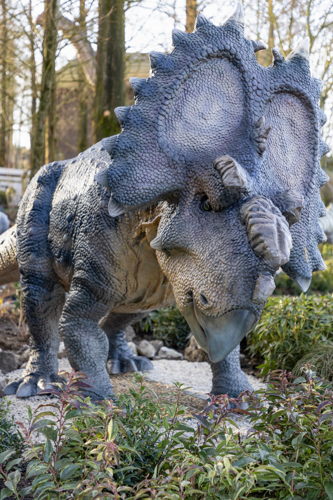 Pachyrhinosaurus