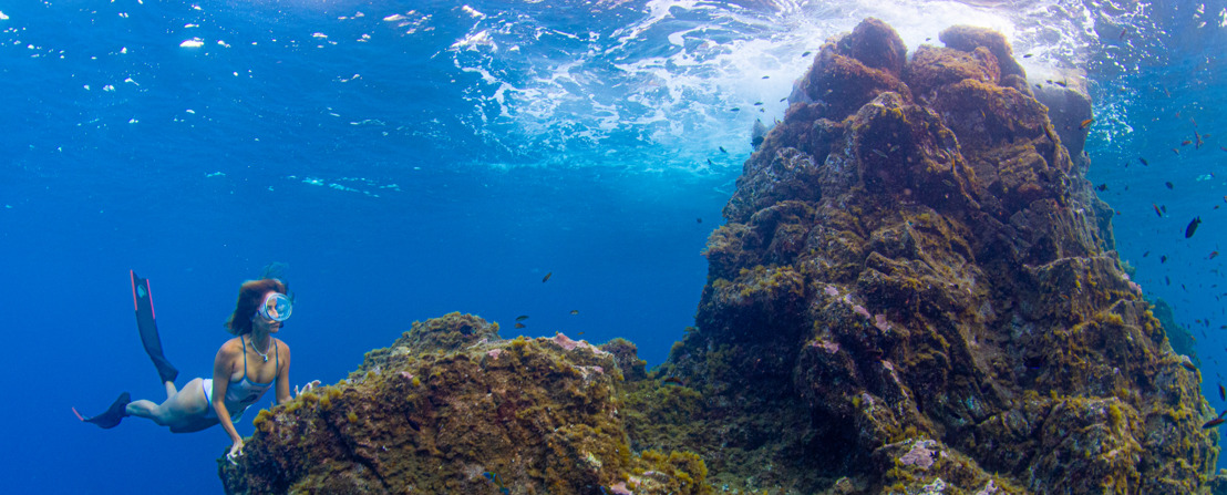 Voici les cinq meilleurs spots de snorkeling à Tenerife 