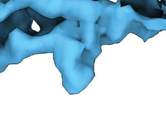 Decoding the satiety signal