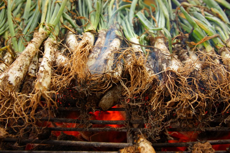 Calçots © ACT_LCarro