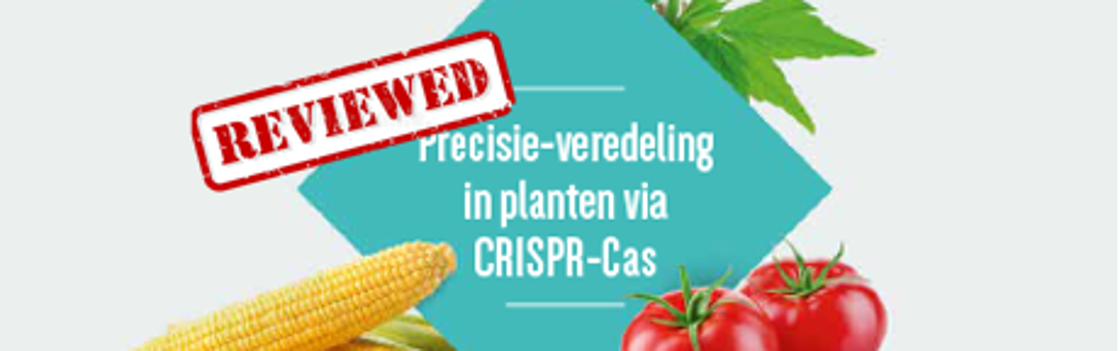 Een update over CRISPR-Cas genoombewerking in planten