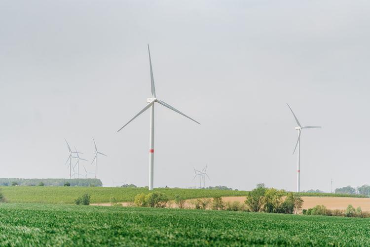 windturbine Dinant