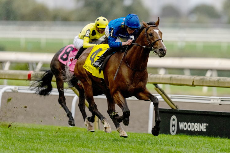 Nations Pride (IRE) and jockey William Buick winning the Canadian International on October 8, 2023 at Woodbine (Michael Burns Photo)