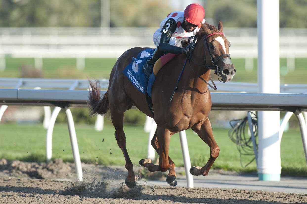 Souper Sensational and Patrick Husbands glide to victory in the 2020 edition of the Glorious Song Stakes at Woodbine. (Michael Burns Photo)
