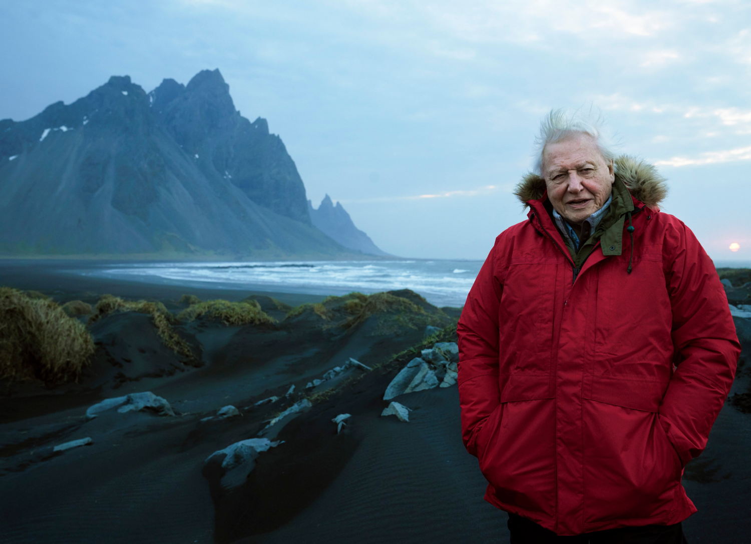 David Attenborough - (c) BBC