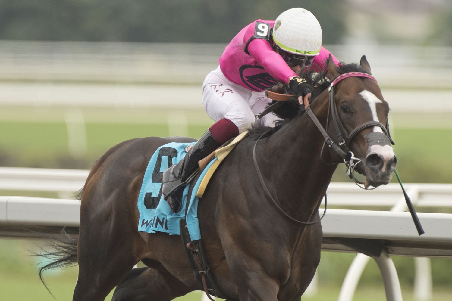 Mark Casse trainee, Frosted Over, proved victorious in the Dominion Day Stakes (G3) at Woodbine on Friday under leading jockey Kazushi Kimura. (Michael Burns Photo) 