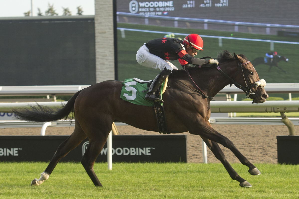 Cool Kiss and jockey Sahin Civaci winning the 10th race on September 10th 2022 at Woodbine (Michael Burns Photo)