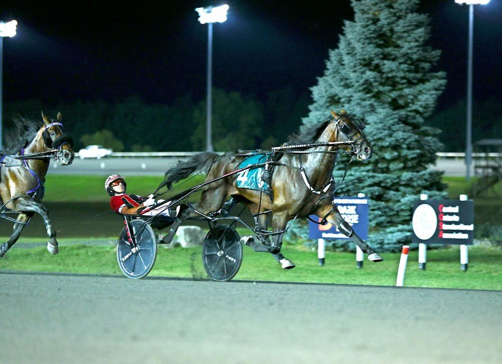 Bulldog Hanover and driver Dexter Dunn winning the Canadian Pacing Derby Final. (New Image Media)