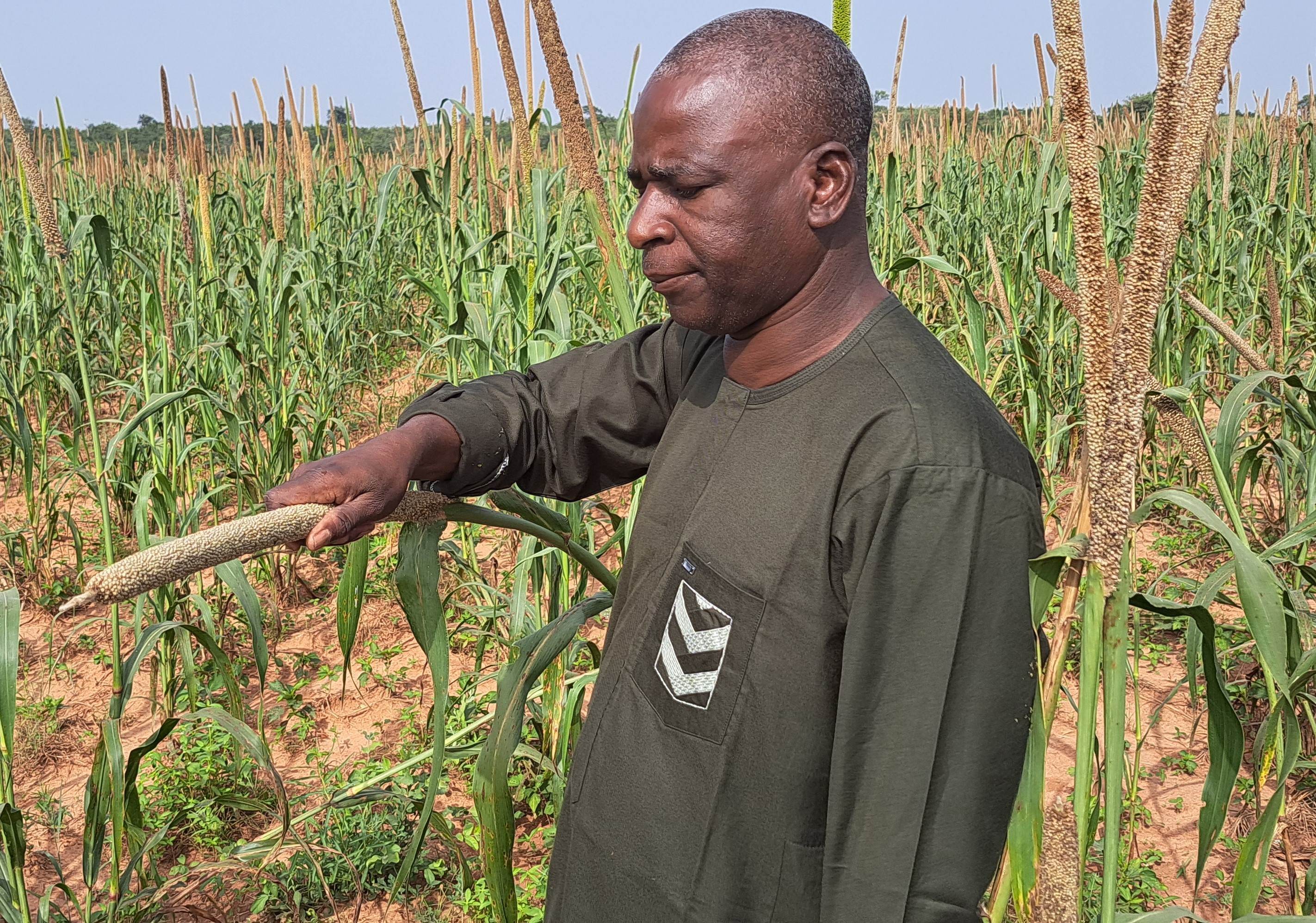 Mr Adamou Hamadou, Senior Research Technician, Accelerated Crop Improvement, ICRISAT Mr Adamou Hamadou, Senior Research Technician, Accelerated Crop Improvement, ICRISAT