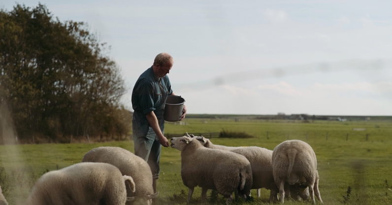 Jan Willem Bakker- Texel