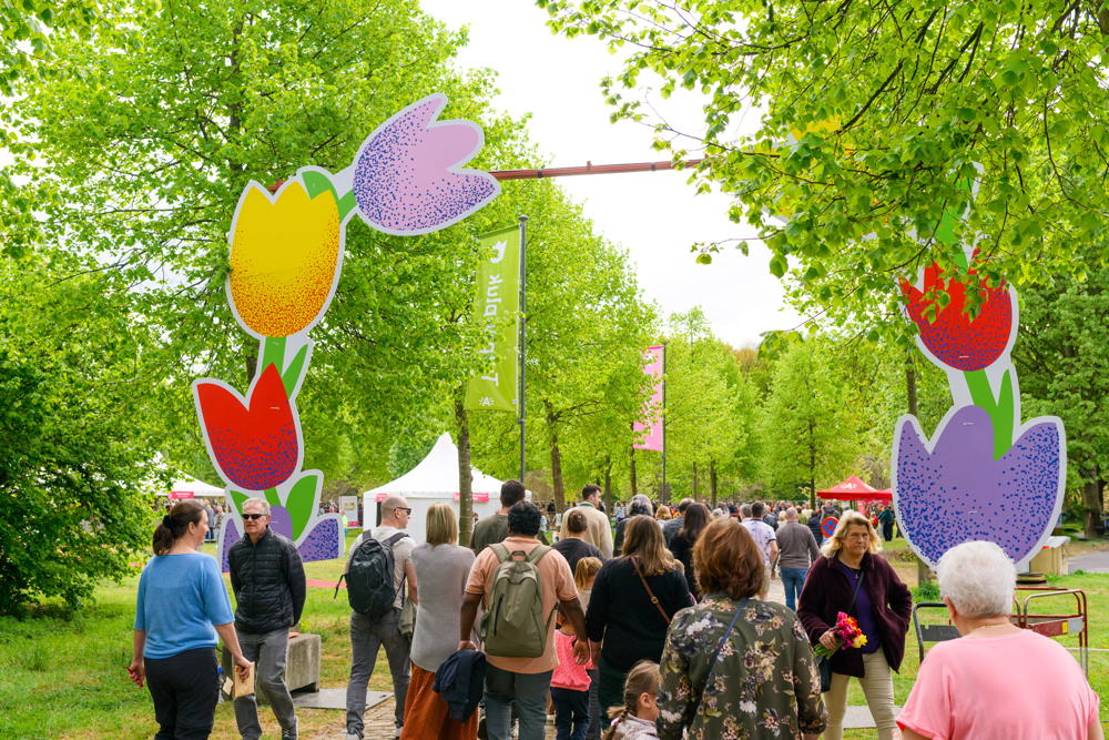 Tulpenpluk 2025, foto Wim Hadermann