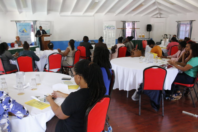 Participants receive presentation on business ideation process, big idea canvas and brainstorming activities.