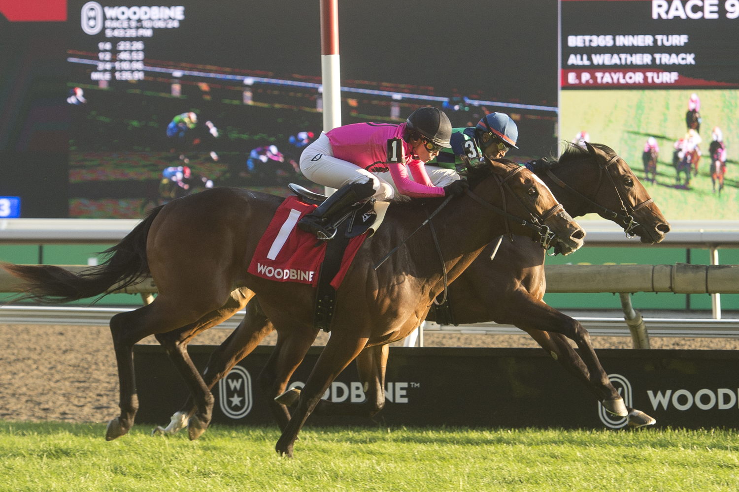 Scorching (#3) and jockey Patrick Husbands winning the Cup & Saucer Stakes on October 6, 2024 at Woodbine (Michael Burns Photo)