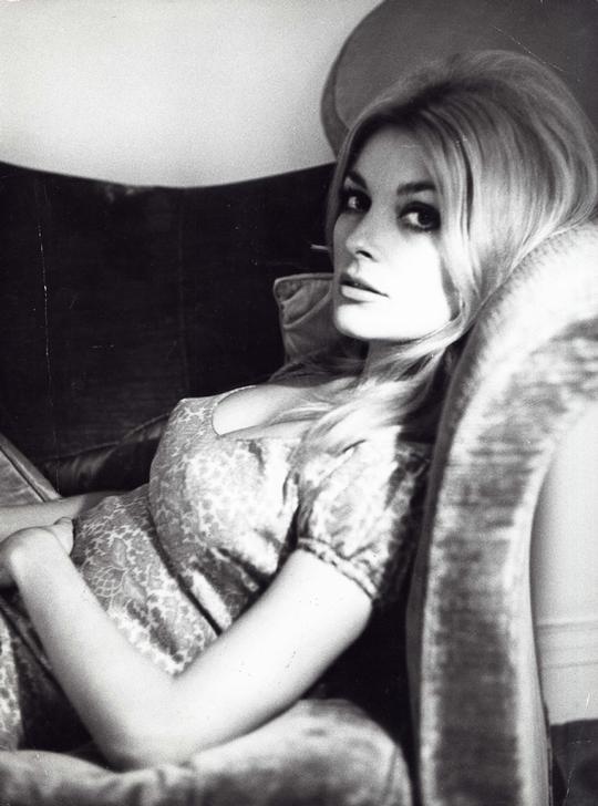 AKG1659406 Sharon Tate ©akg-images / Album