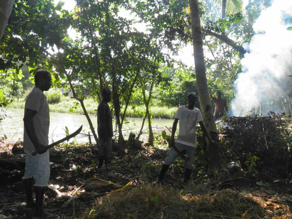 BEFORE: Land clearing continues.