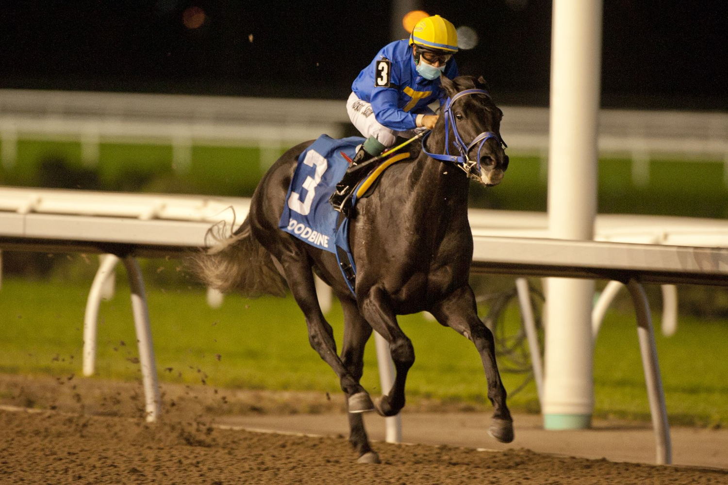 Ironstone and jockey Ademar Santos winning the Clarendon Stakes on October 8, 2021 at Woodbine. (Michael Burns Photo)
