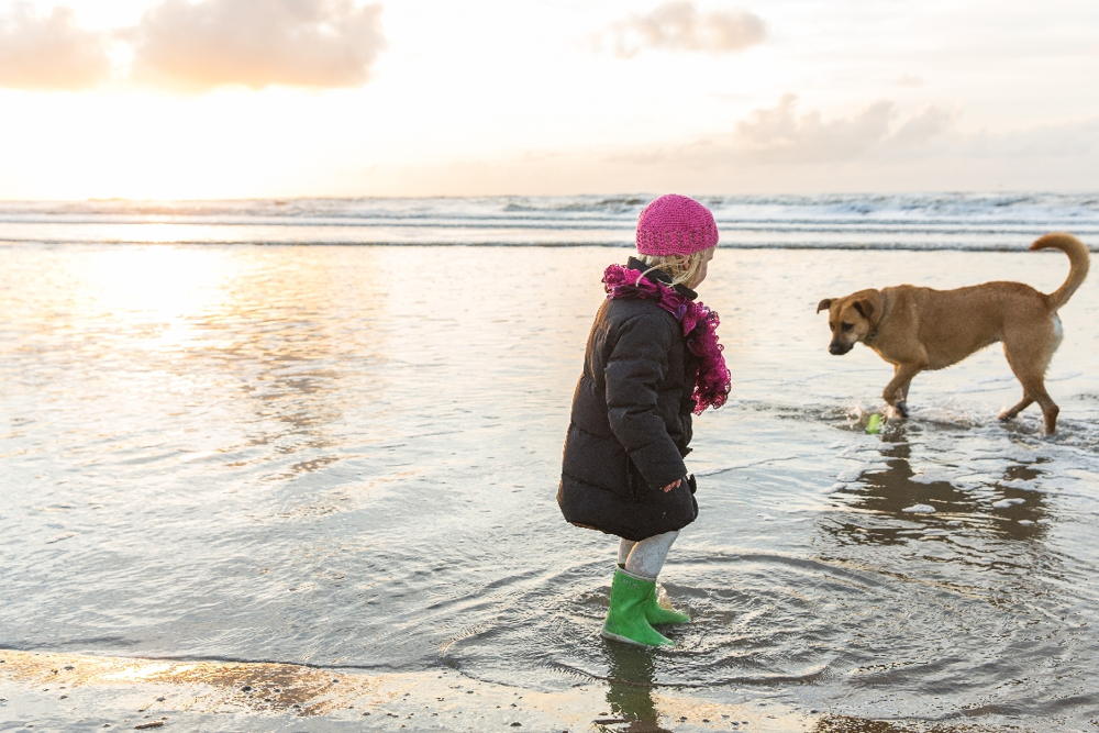 Im Herbst werden in den Niederlanden viele Str&auml;nde f&uuml;r Hunde freigegeben.