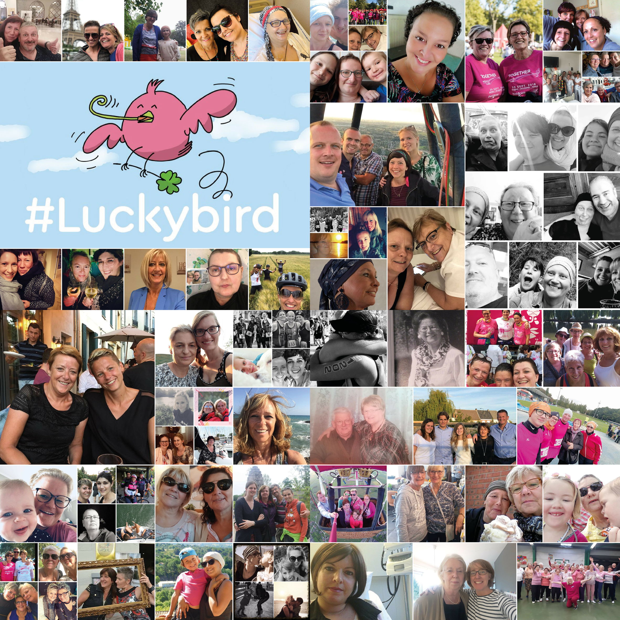 Sociale media overspoeld door lucky birds