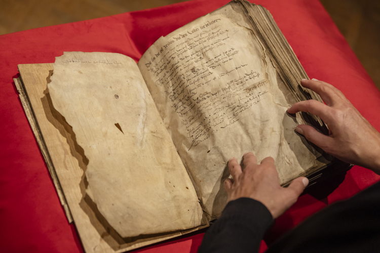 © Erfgoedbibliotheek Hendrik Conscience, fotograaf Ans Brys