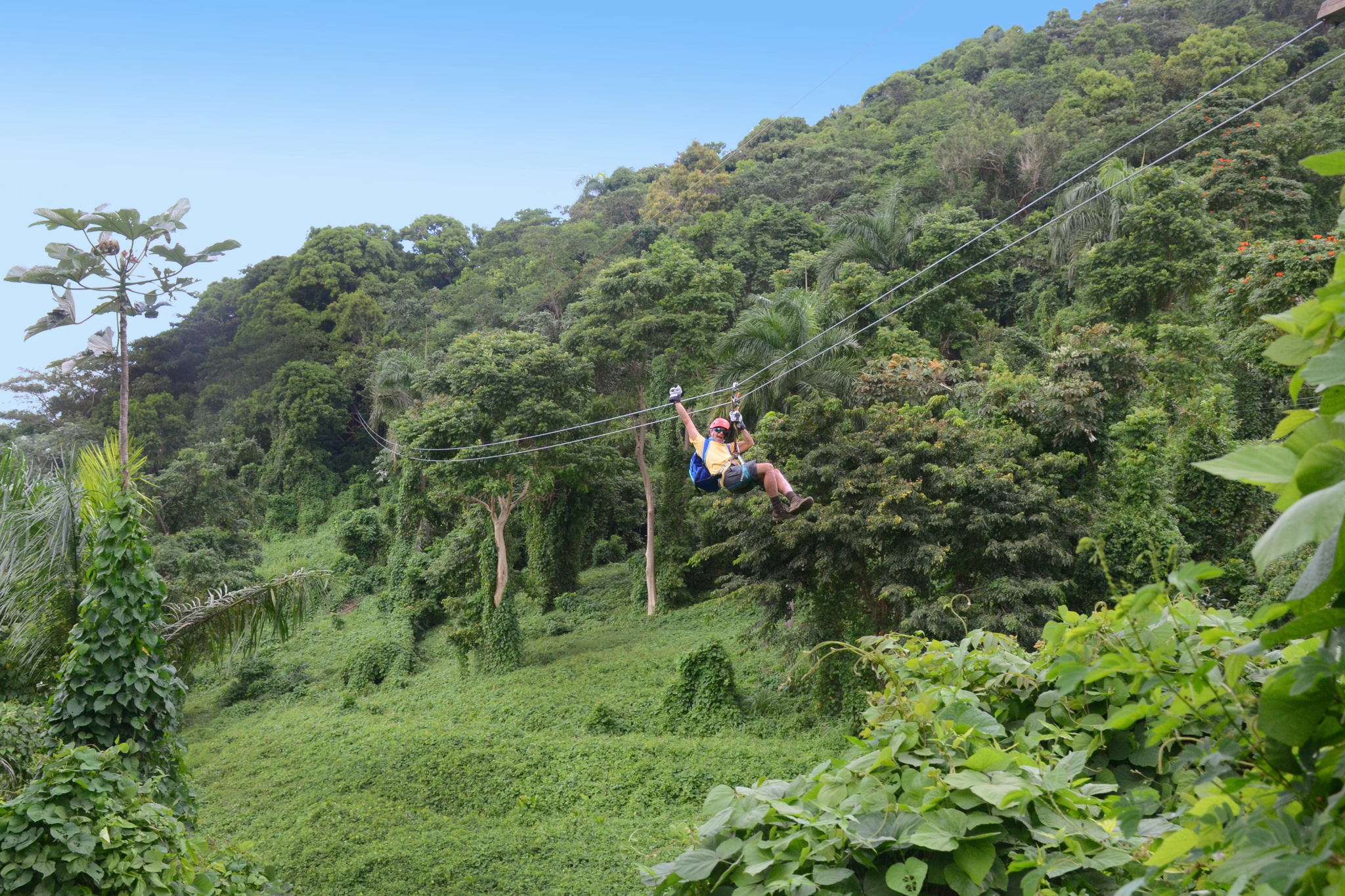 Zipline sobre la Selva de El Yunque, Puerto Rico