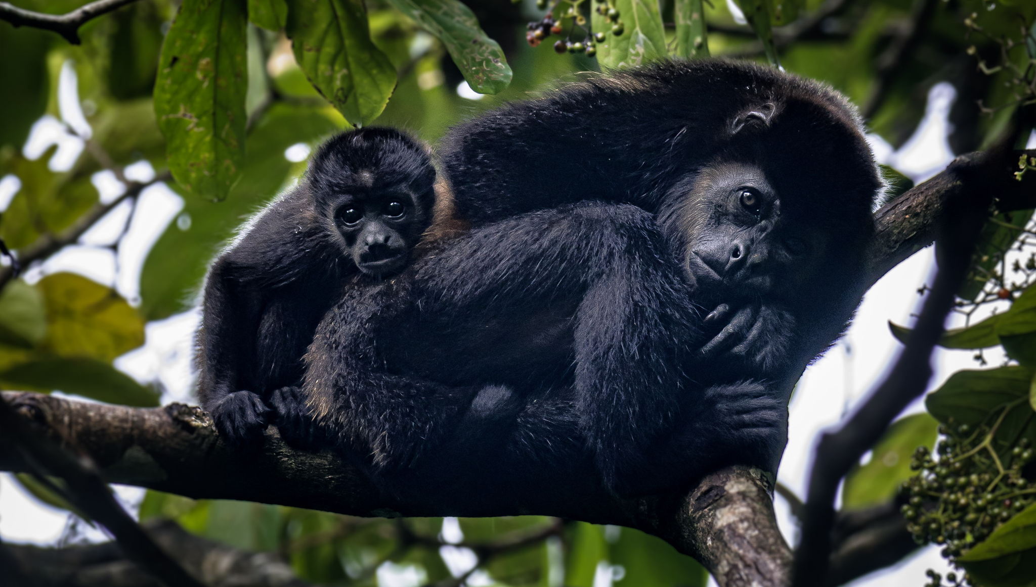 Costa Rica: biodiversidad que se respeta.